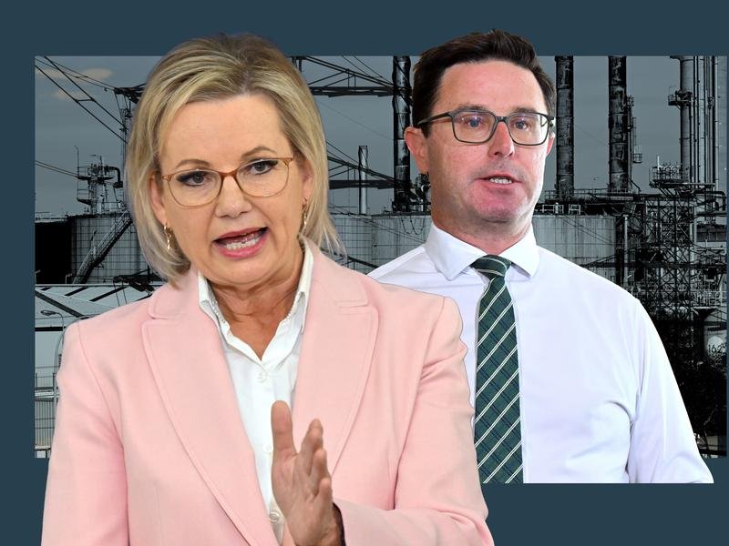 Graphic of federal coalition leaders Sussan Ley and David Littleproud