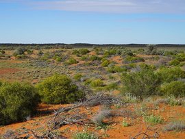 The Arid Recovery reserve