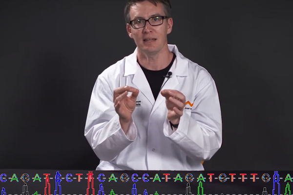 DNA sequencing