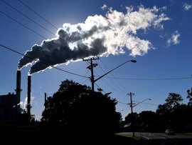 ENVIRONMENT STOCK