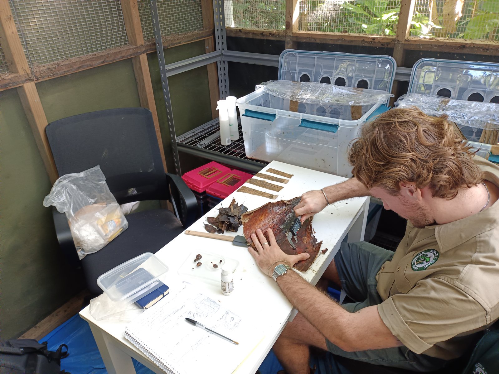 Sam Burridge examining snail growth