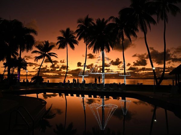 Palm trees in Fiji (file image)