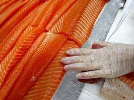 Salmon to be sold at a fish store