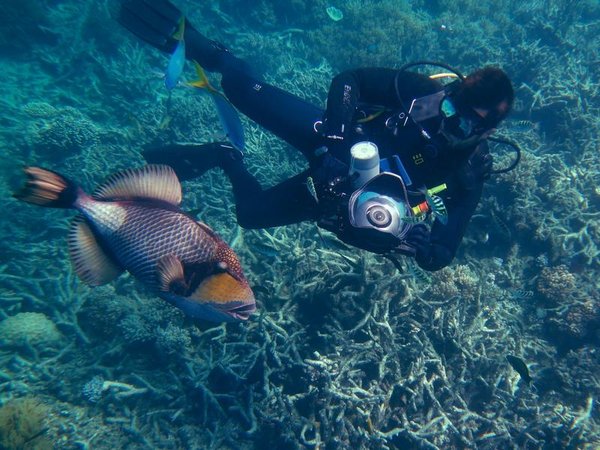 A diver on The Great Barrier Reef