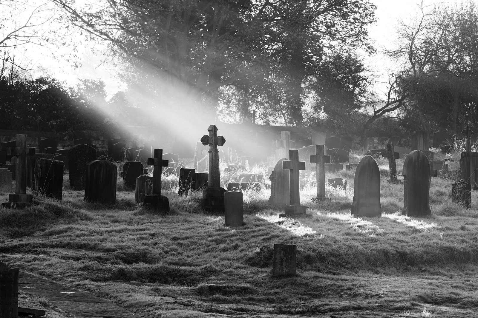 Black and white cemetery headstones and crosses, sunlight streaming through misty trees.