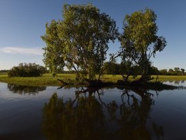 The wetlands of Yellow Water