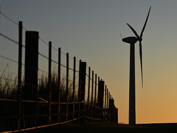 A wind turbine (file image)