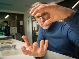 Dr Matthew Brookhouse researching the longicorn beetle