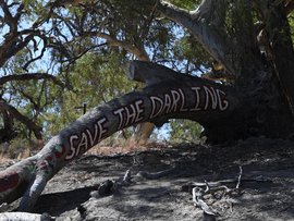 Diminishing water levels on the Darling River near Menindee in 2019