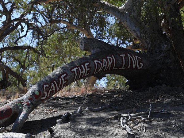 Diminishing water levels on the Darling River near Menindee in 2019