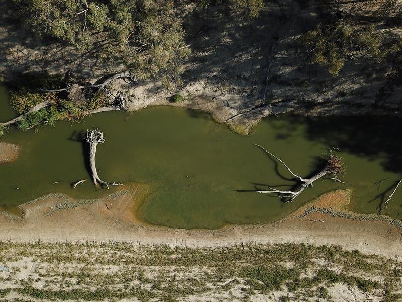 environment 