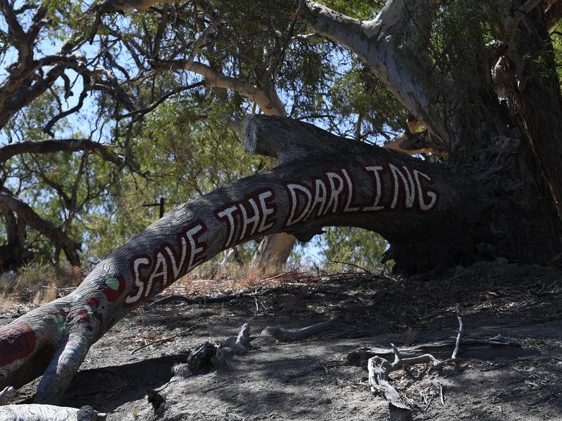 Diminishing water levels on the Darling River near Menindee in 2019