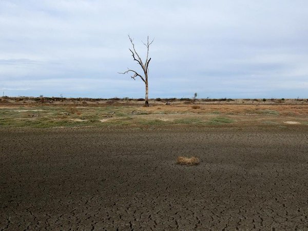 A dried up dam in the drought-stricken town of Mungindi.