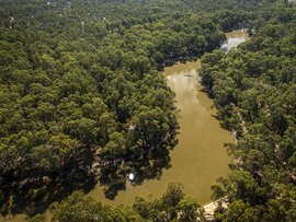 The Murray River near Nyah