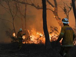 Rural Fire Service volunteers battle a bushfire at Dragan, NSW