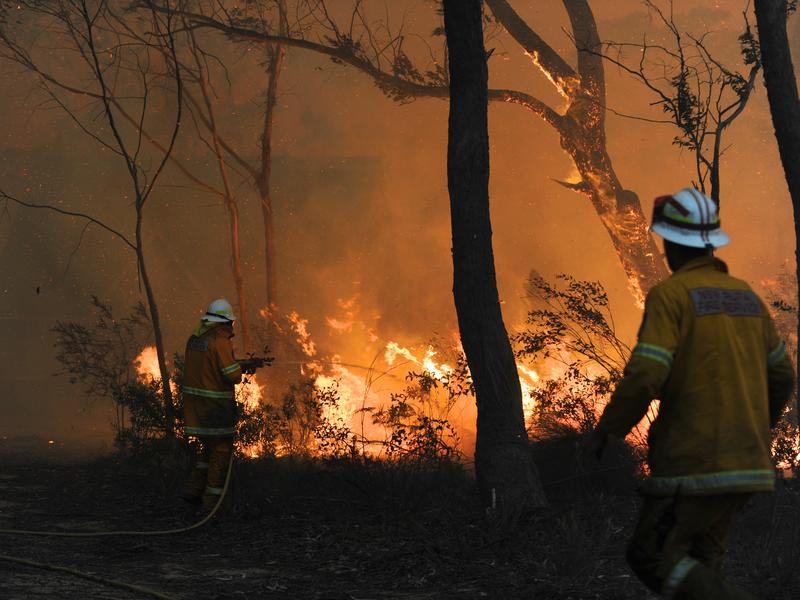 Rural Fire Service volunteers battle a bushfire at Dragan, NSW