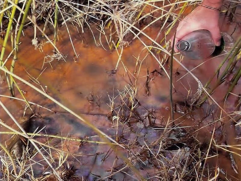 Water contamination at Belubula River