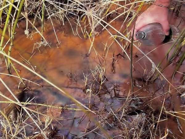 Water contamination at Belubula River
