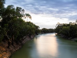 The Darling/Baaka River in Menindee (file image)