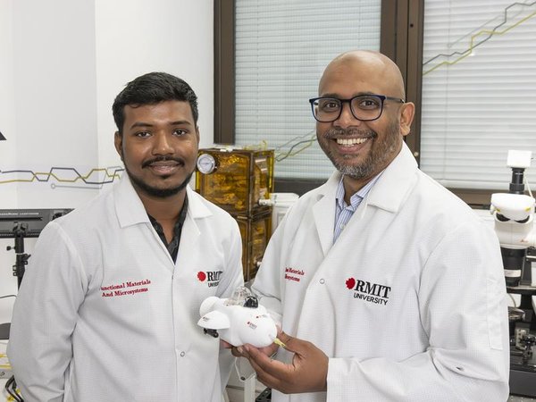 Surya Kanta Ghadei and Md Ataur Rahman