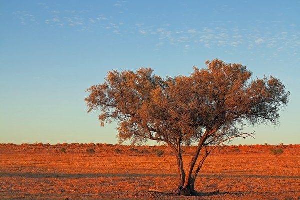 Simpson Desert Expedition 2015