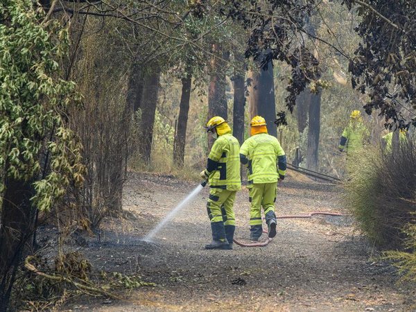 Fire Rescue Victoria officers in Gellibrand