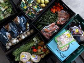 Food waste 