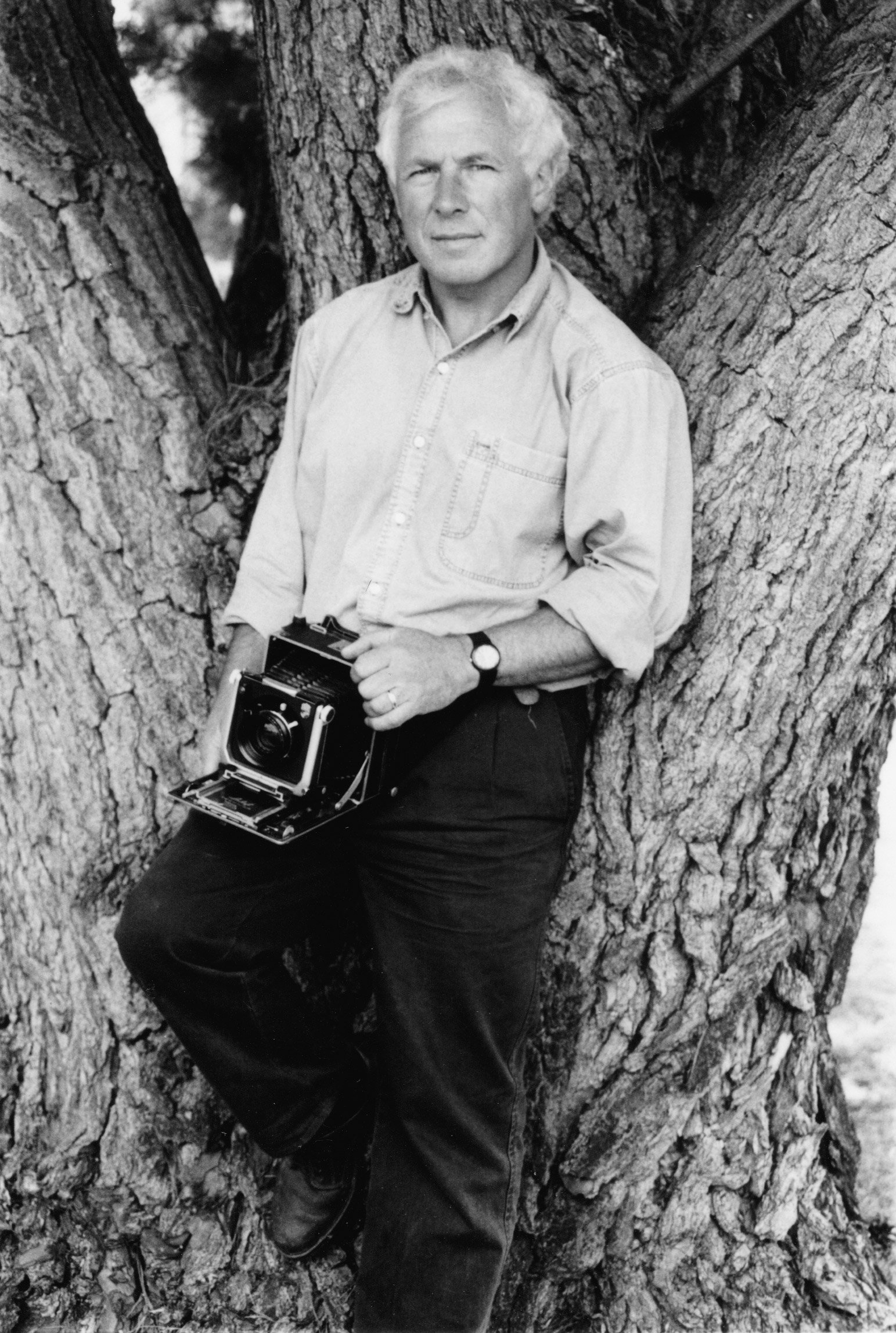 Peter Dombrovskis