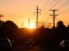 Power poles and electricity distribution wires (file image)