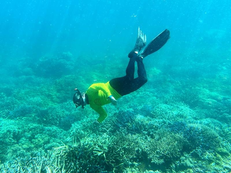 reef