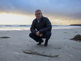 Federal Environment and Water Minister Murray Watt