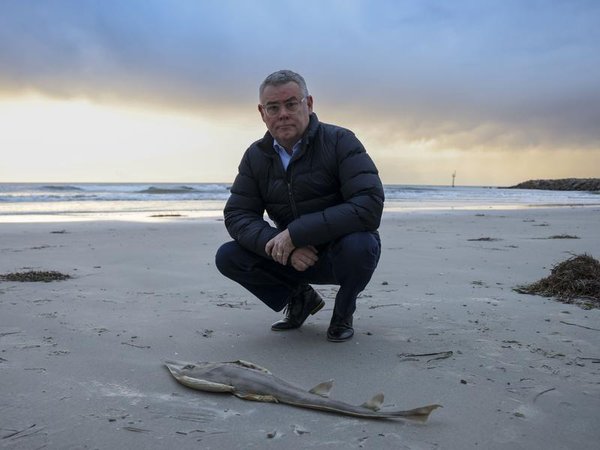 Federal Environment and Water Minister Murray Watt