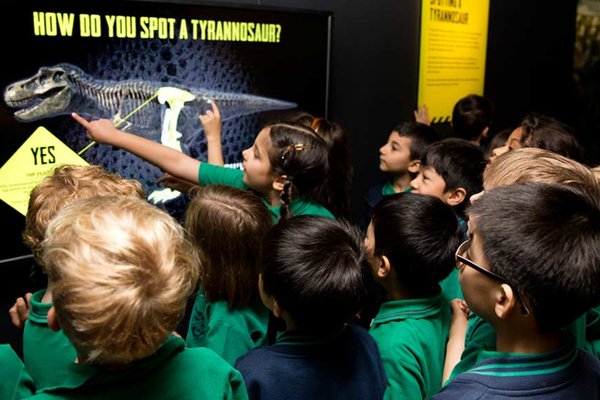 Tyrannosaurs educational interactives