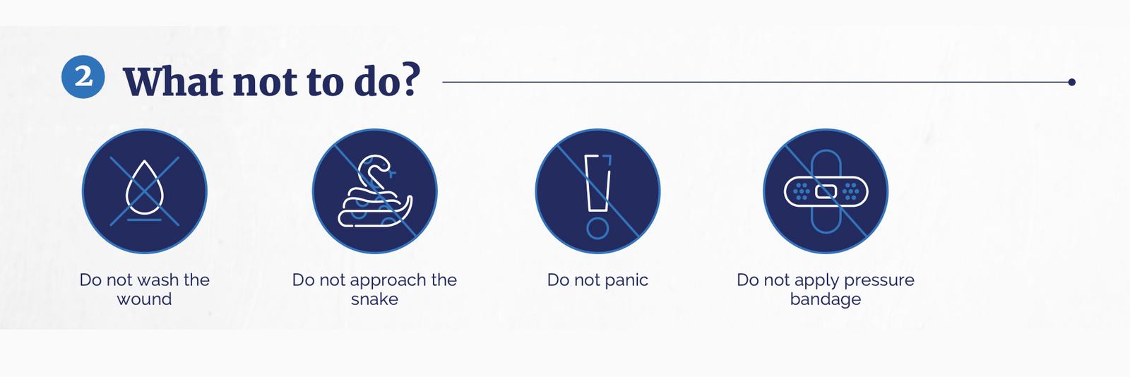 An infographic of what not to do with a pet has a suspected snake bite