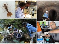 Australian Museum Streamwatch volunteers in 2015