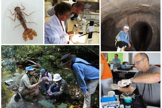Australian Museum Streamwatch volunteers in 2015