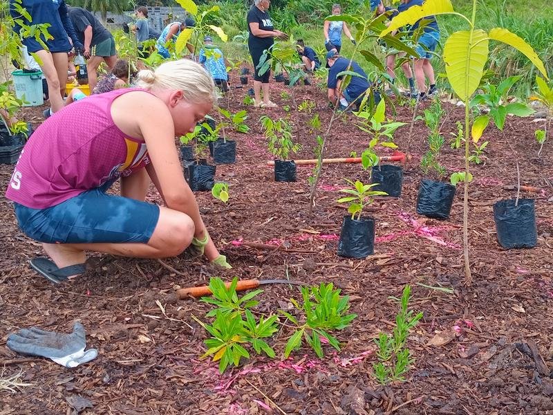 People planting trees