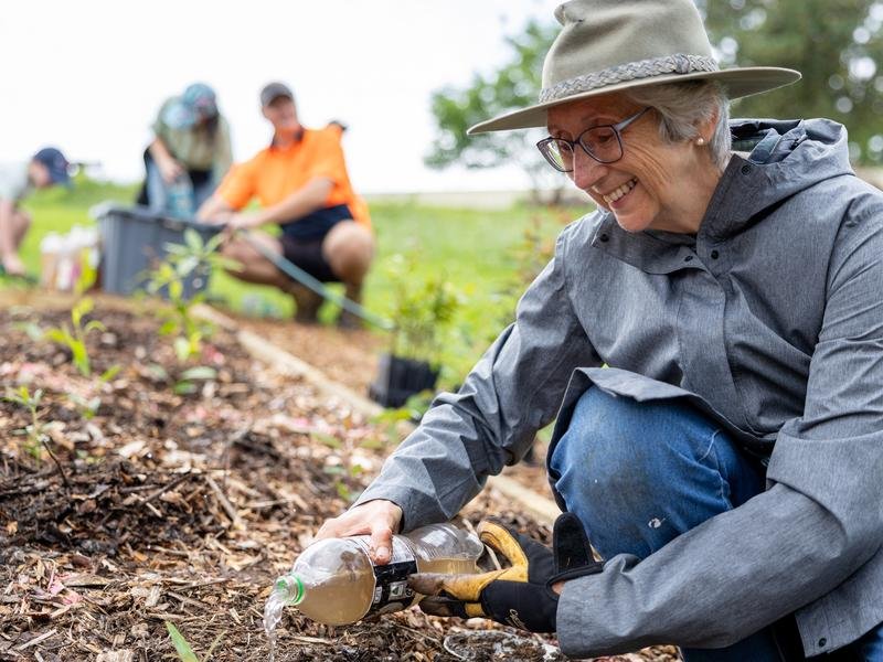 Groundswell Collective volunteers at work