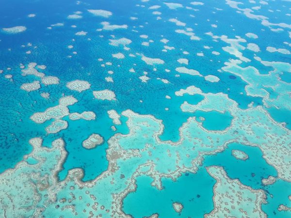 The Great Barrier Reef as viewed from above