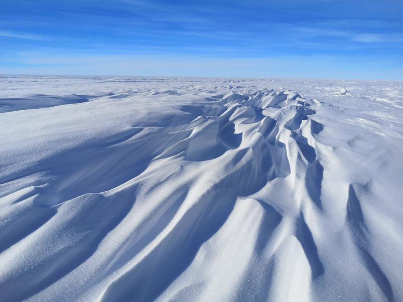 antarctica