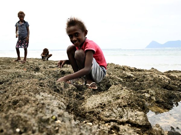 Children collect sea snails in Vanuatu