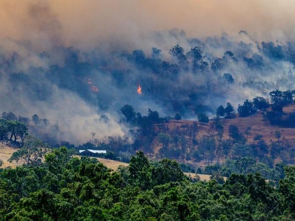 bushfires 