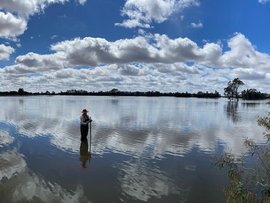 Carefully preserved wetland near Balranald, NSW