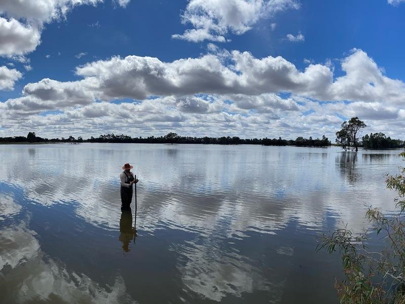 Carefully preserved wetland near Balranald, NSW