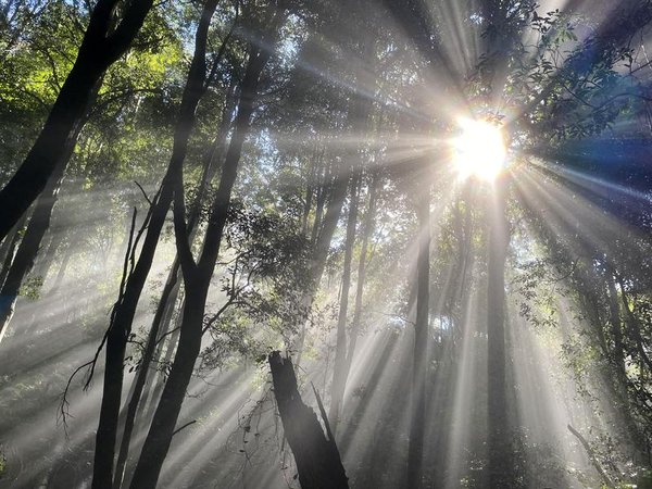 WOMEN ONLY HIKING TRIPS