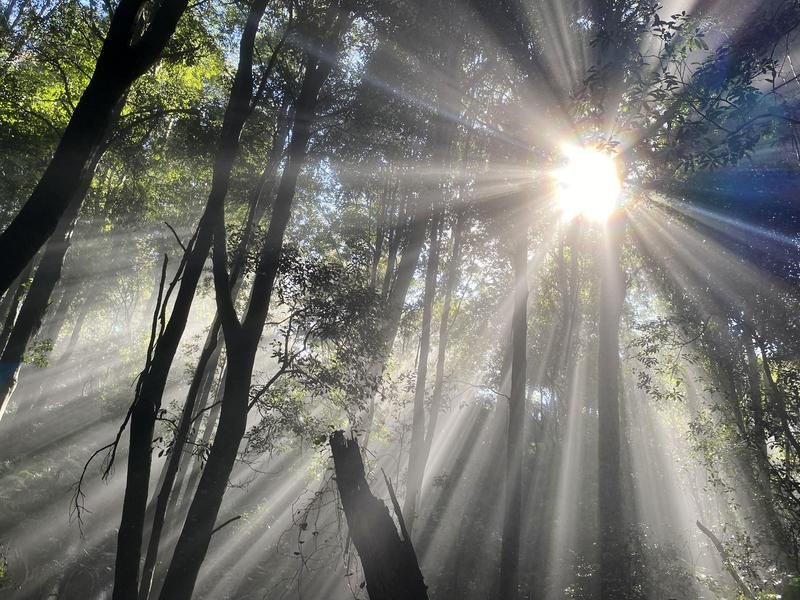 WOMEN ONLY HIKING TRIPS